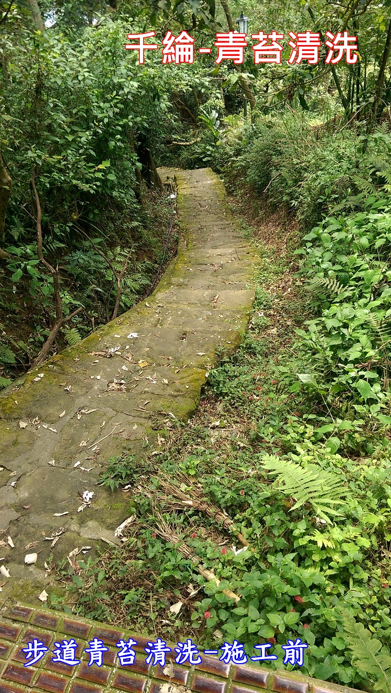 千綸-步道青苔清洗